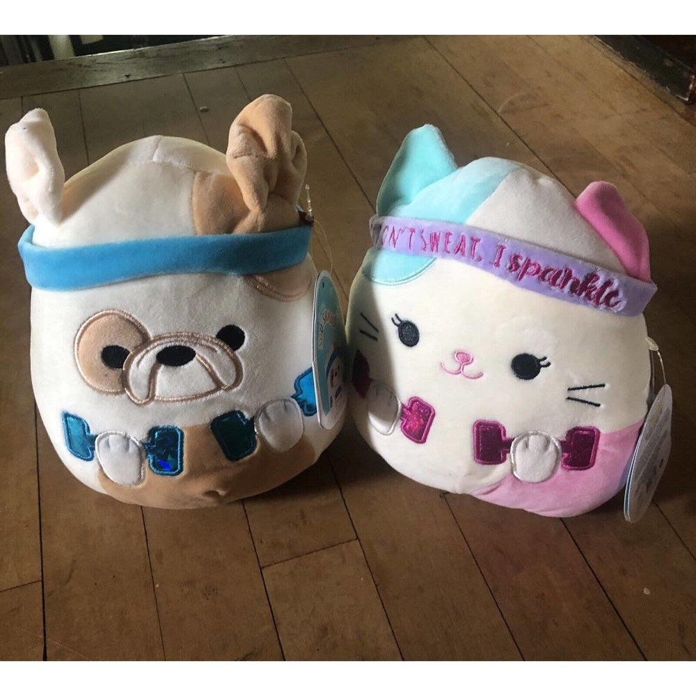 Squishmallow Caryl Cat & Brock Dog Plush 7.5” Exercise Workout Wellness NWT Set